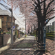 Illustration for article titled Visit Tokyo Through These Beautiful Sketches